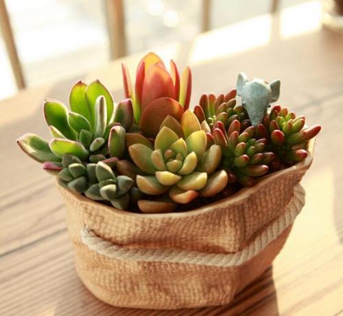 հ죺ˮϵȫͨ ˳ǡø˾