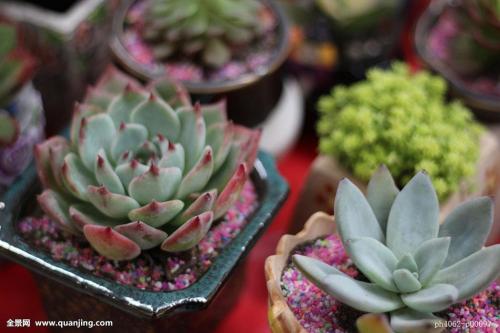 ע¾ҵ̬ְҵѡ չǰ